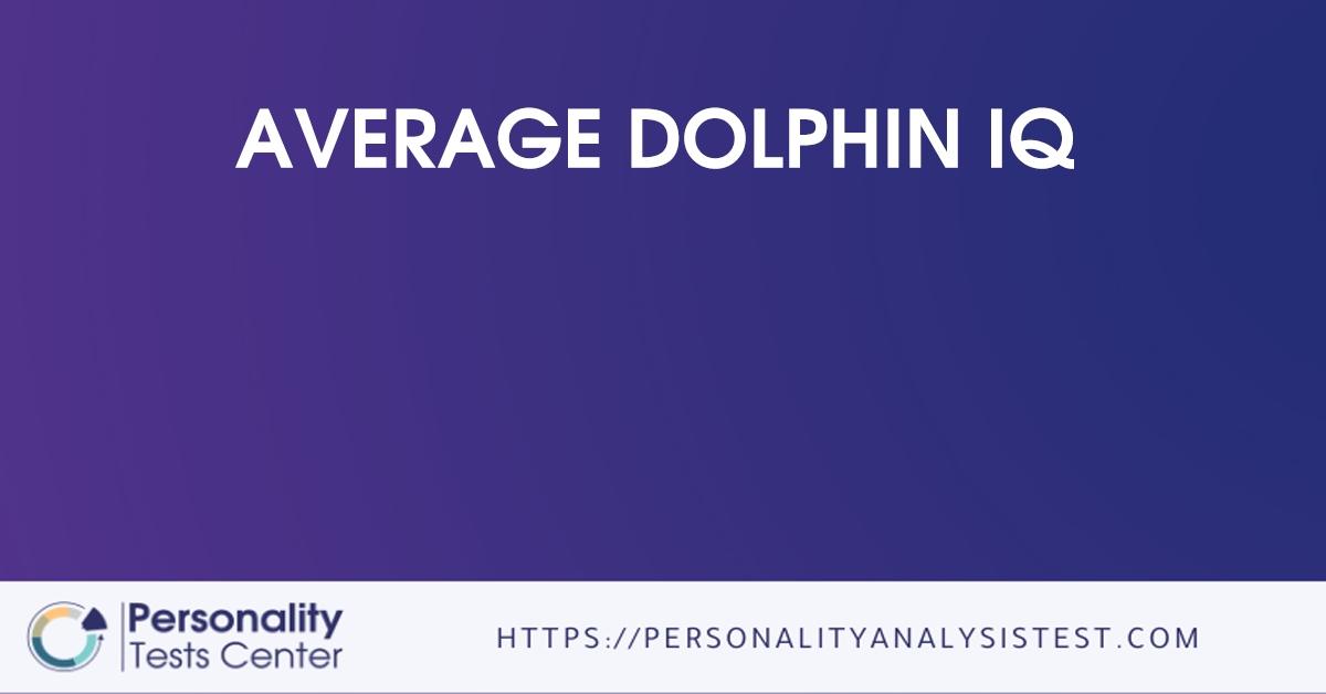 average dolphin iq