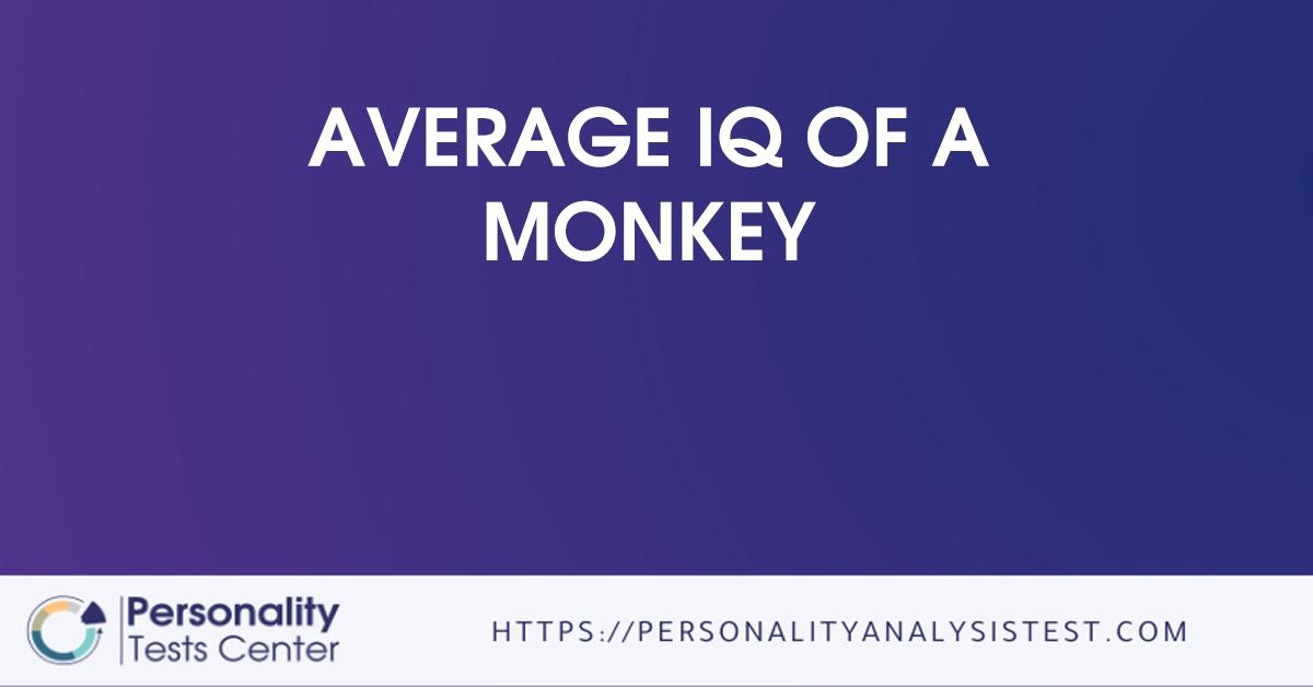 average iq of a monkey