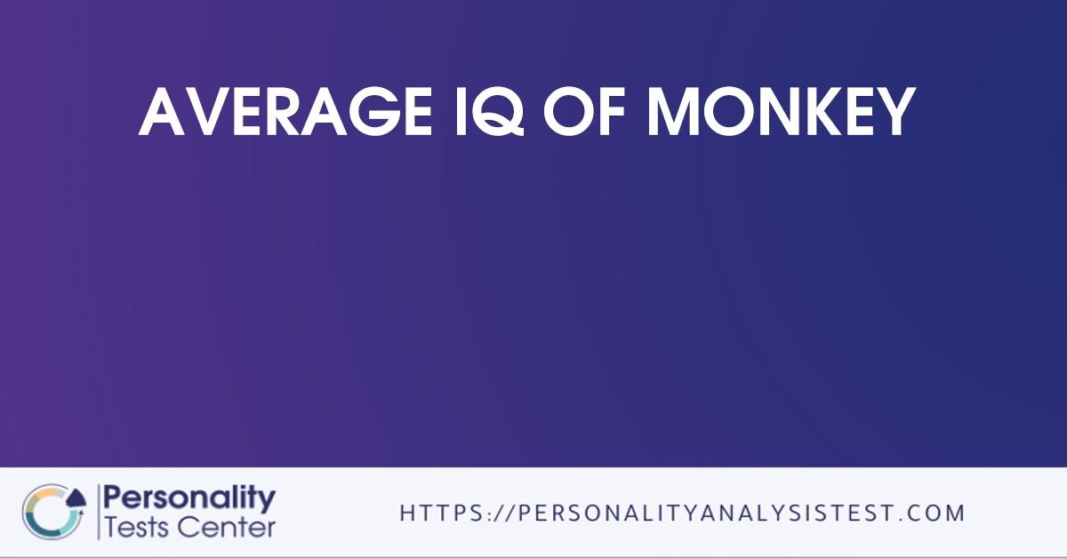 average iq of monkey