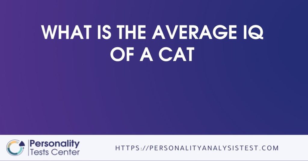 what-is-the-average-iq-of-a-cat-best-guide