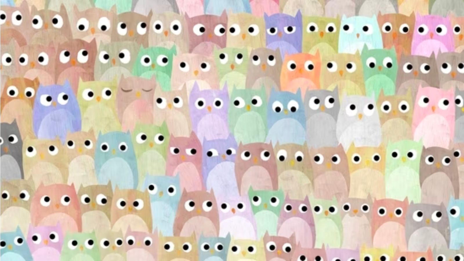 Can you find the hidden CAT among the owls